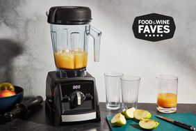 Best Vitamix Blenders