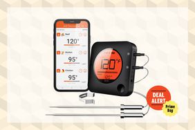 Deal Roundup Meat Thermometers Tout