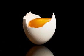 Egg