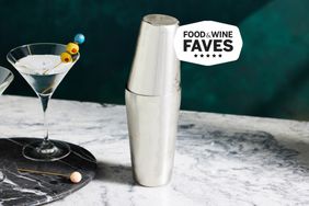 Tested Product Cocktail Shaker