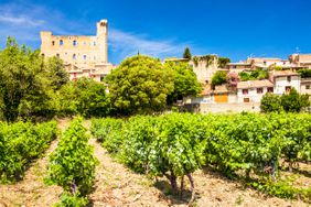 French vineyard