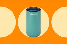 Thermacell Mosquito Repellent Review